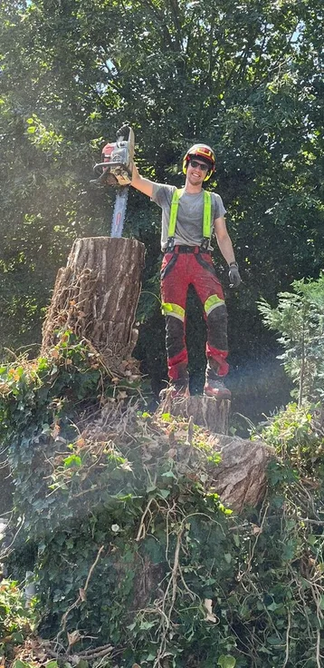 Forstwirt in Aktion