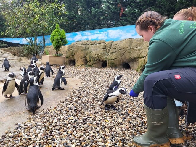 Laura mit Pinguinen